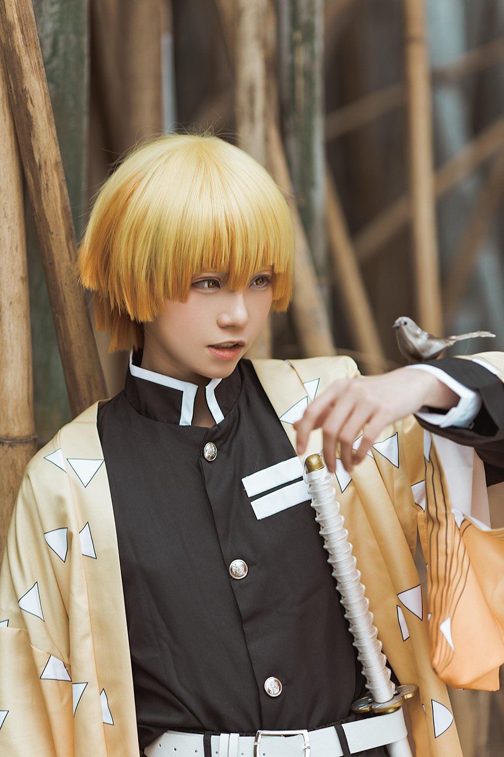 人气Coser@Kitaro_绮太郎 NO.060 鬼灭之刃 我妻善逸[30P-104MB] 网红Coser-第1张