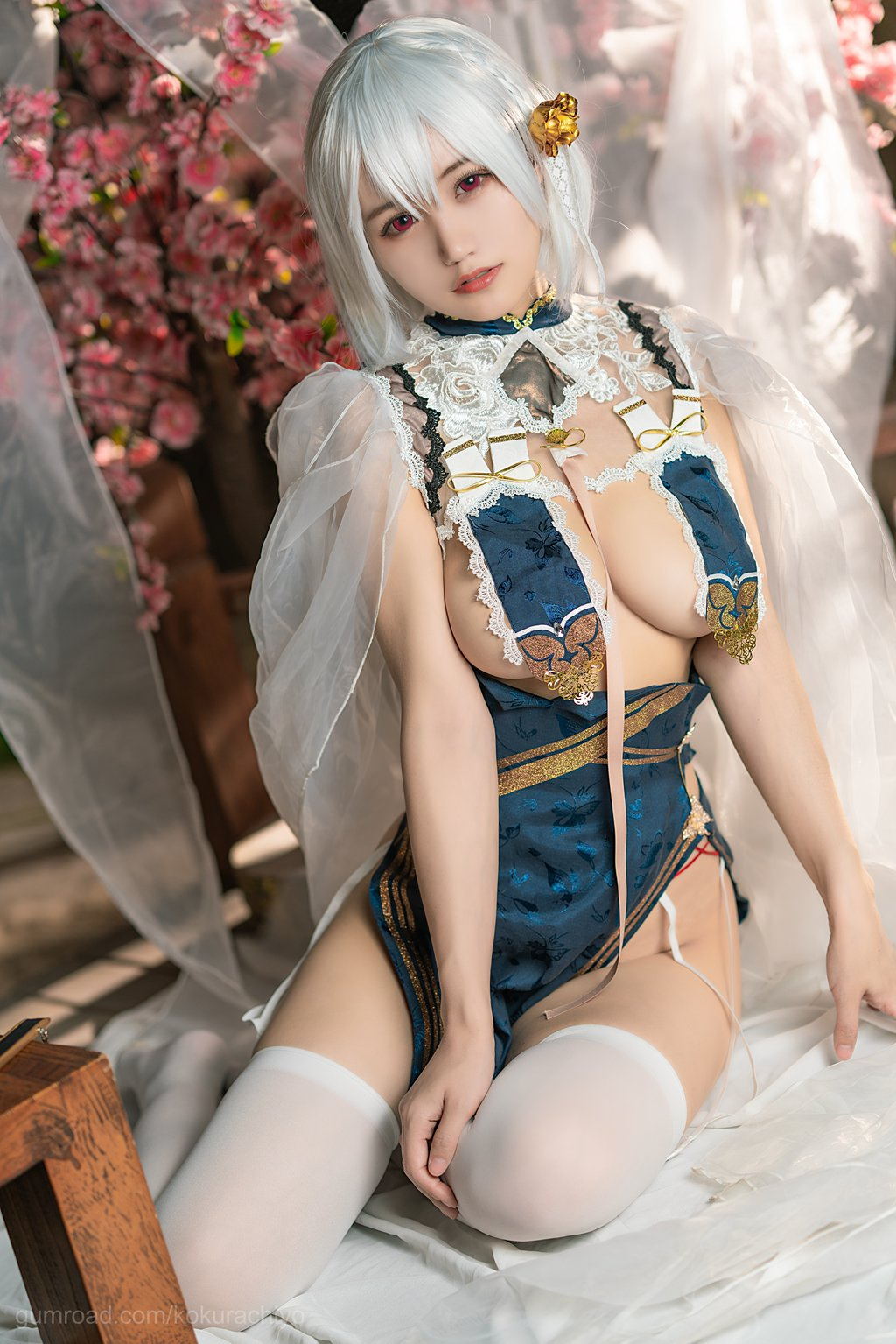 人气Coser@小仓千代w NO.024 天狼星旗袍 [20P-138MB] 网红Coser-第3张