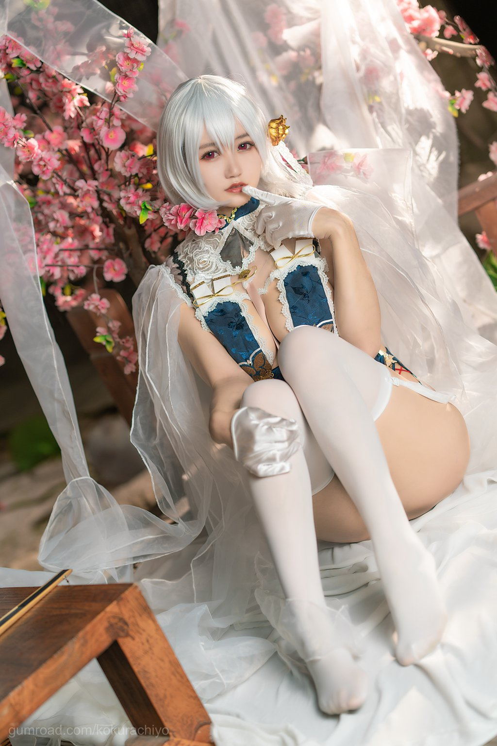 人气Coser@小仓千代w NO.024 天狼星旗袍 [20P-138MB] 网红Coser-第2张